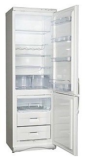 Refrigerator Snaige RF360-1801A larawan, katangian