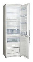 Refrigerator Snaige RF360-1T01A larawan, katangian
