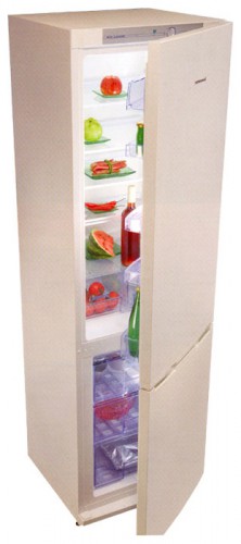 Kühlschrank Snaige RF36SM-S1MA01 Foto, Charakteristik