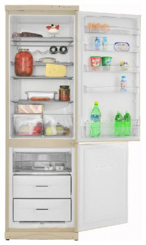 Tủ lạnh Snaige RF390-1713A ảnh, đặc điểm