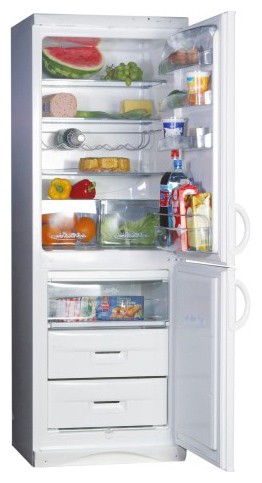Tủ lạnh Snaige RF390-1803A ảnh, đặc điểm