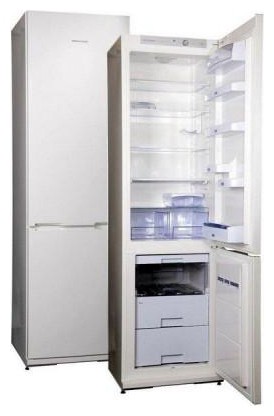 Buzdolabı Snaige RF39SH-S10001 fotoğraf, özellikleri