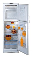 Refrigerator Stinol R 36 NF larawan, katangian