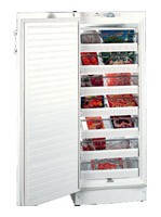 Refrigerator Vestfrost BFS 275 B larawan, katangian