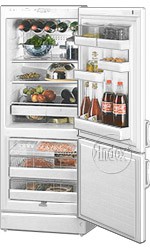 Refrigerator Vestfrost BKF 285 Green larawan, katangian