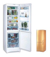Refrigerator Vestfrost BKF 405 E58 Gold larawan, katangian