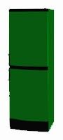 Kjøleskap Vestfrost BKF 405 E58 Green Bilde, kjennetegn
