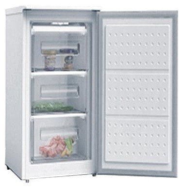 Refrigerator Wellton GF-80 larawan, katangian