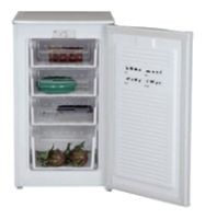 Kühlschrank WEST FR-1001 Foto, Charakteristik