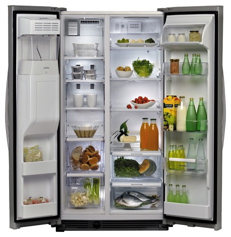 Tủ lạnh Whirlpool WSC 5541 NX ảnh, đặc điểm