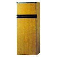Refrigerator Zanussi ZFC 19/5 RDN larawan, katangian