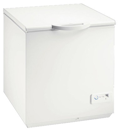Kühlschrank Zanussi ZFC 321 WAA Foto, Charakteristik