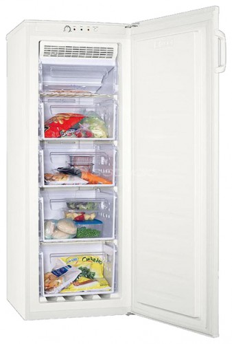 Buzdolabı Zanussi ZFU 216 FWO fotoğraf, özellikleri
