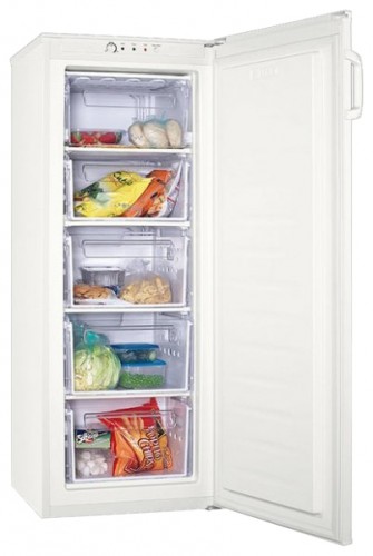 Refrigerator Zanussi ZFU 219 W larawan, katangian