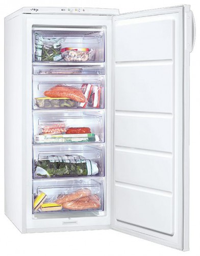 Холодильник Zanussi ZFU 319 EW фото, Характеристики