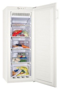 Холодильник Zanussi ZFU 616 FWO1 Фото, характеристики