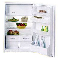 Refrigerator Zanussi ZI 7163 larawan, katangian