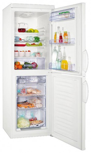 Холодильник Zanussi ZRB 228 FWO Фото, характеристики