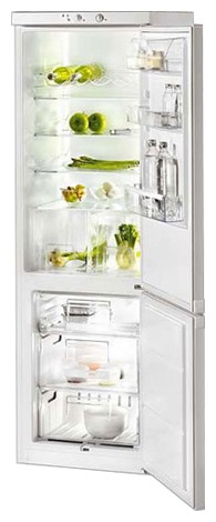 Buzdolabı Zanussi ZRB 40 ND fotoğraf, özellikleri