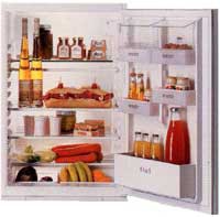 Refrigerator Zanussi ZU 1402 larawan, katangian