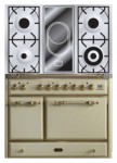 Kitchen Stove ILVE MCD-100VD-VG Antique white 100.00x85.00x60.00 cm