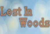 Lost in Woods 2 Steam CD Key, 0.96$