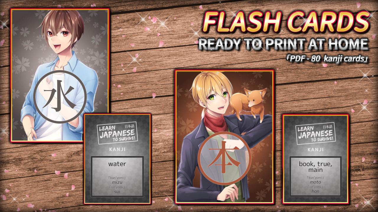 Learn Japanese To Survive! Kanji Combat - Flash Cards DLC Steam CD Key, 0.95$