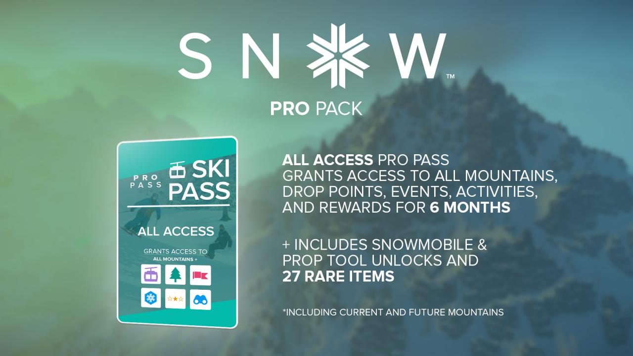 SNOW - Pro Pack DLC EU Steam CD Key, 0.53$