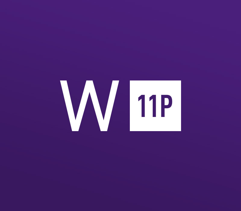 Windows 11 Professional OEM Key - API, 20.89$