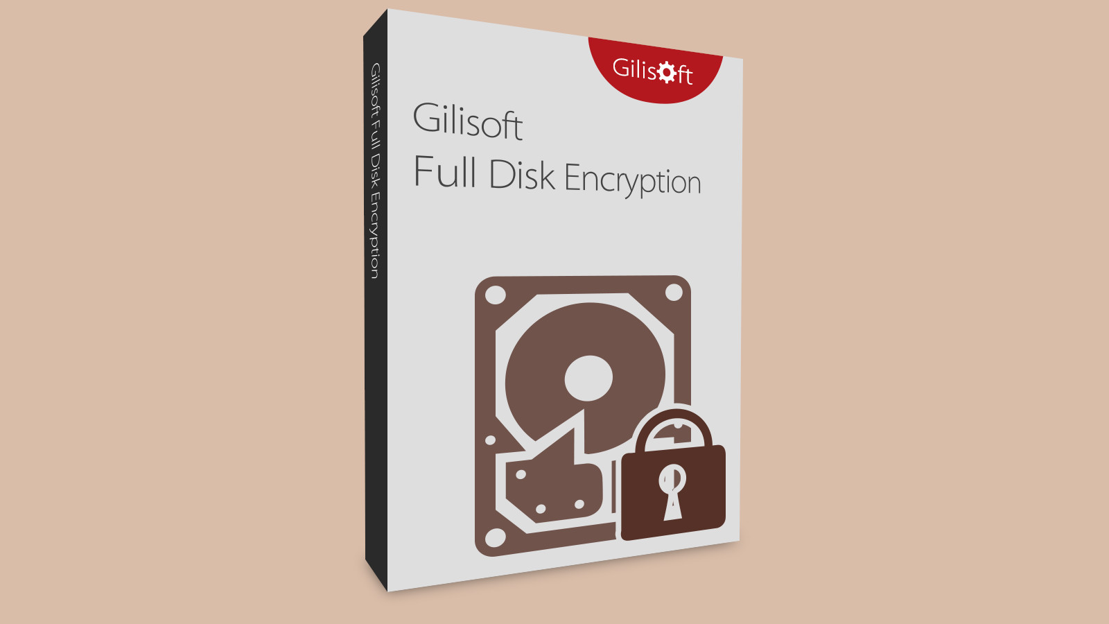 Gilisoft Full Disk Encryption CD Key, 19.72$